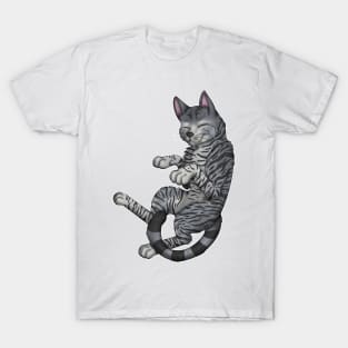 Grey Tabby Shorthair T-Shirt